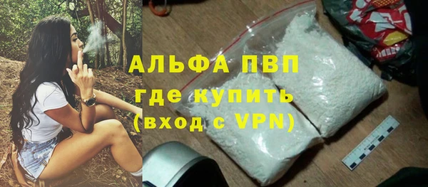 сатива Арсеньев
