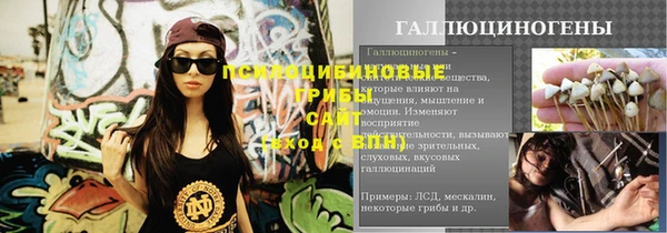 сатива Арсеньев
